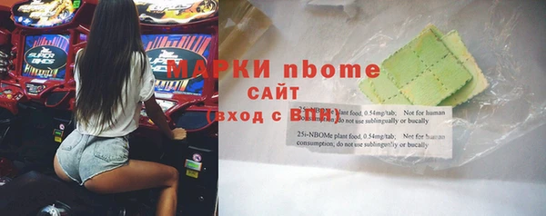 молекула духа Каменногорск