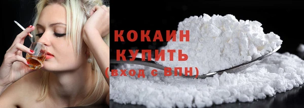 молекула духа Каменногорск