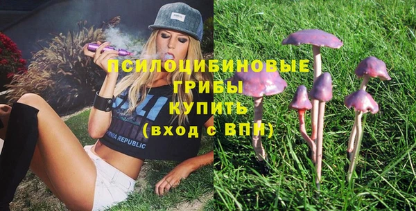 стафф Карпинск