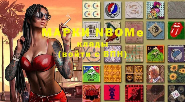 молекула духа Каменногорск