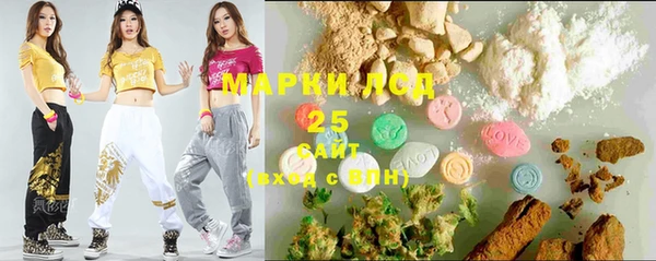 молекула духа Каменногорск