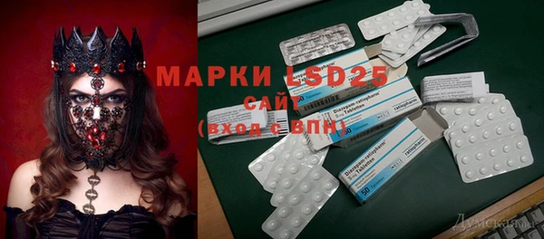 молекула духа Каменногорск