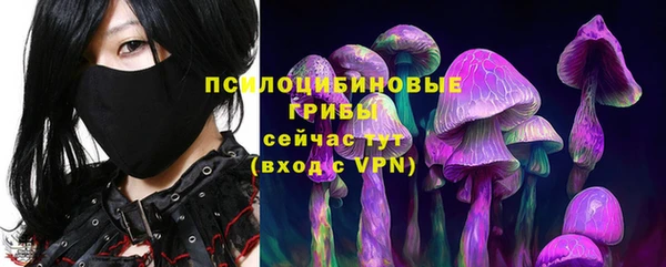молекула духа Каменногорск