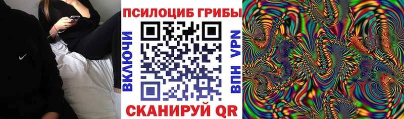 Галлюциногенные грибы Psilocybe  Купить  Соликамск 